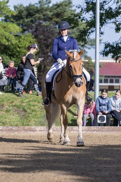 Bild 185 - Pony Akademie Turnier